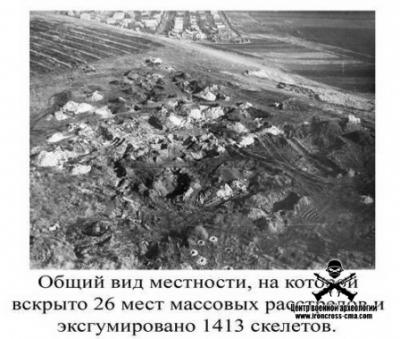 Прикрепленное изображение: Дубки 03.jpeg